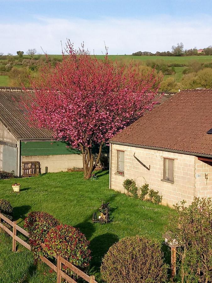 Gite A La Ferme Rouvroy 外观 照片